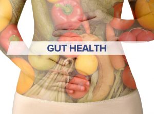 gut-health-stomach-vegetables